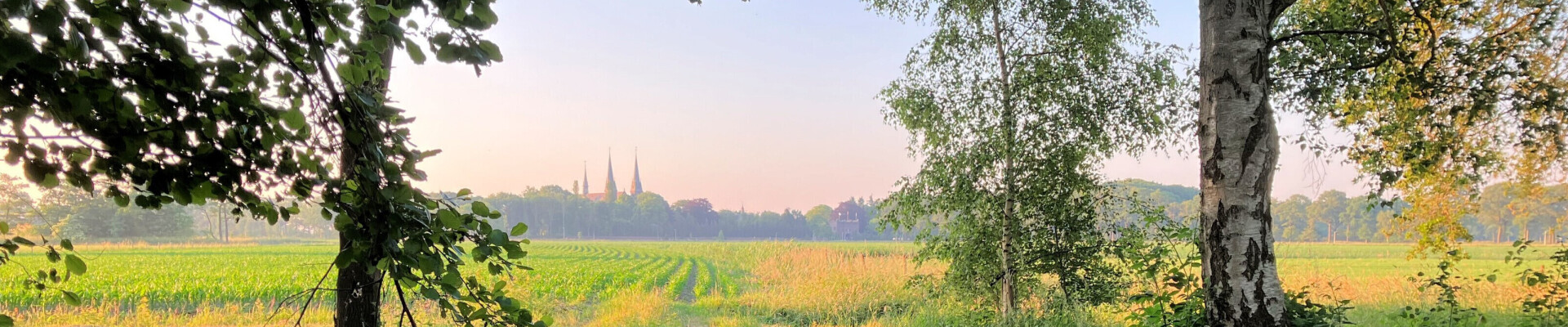 Preek van 7 juli 2024