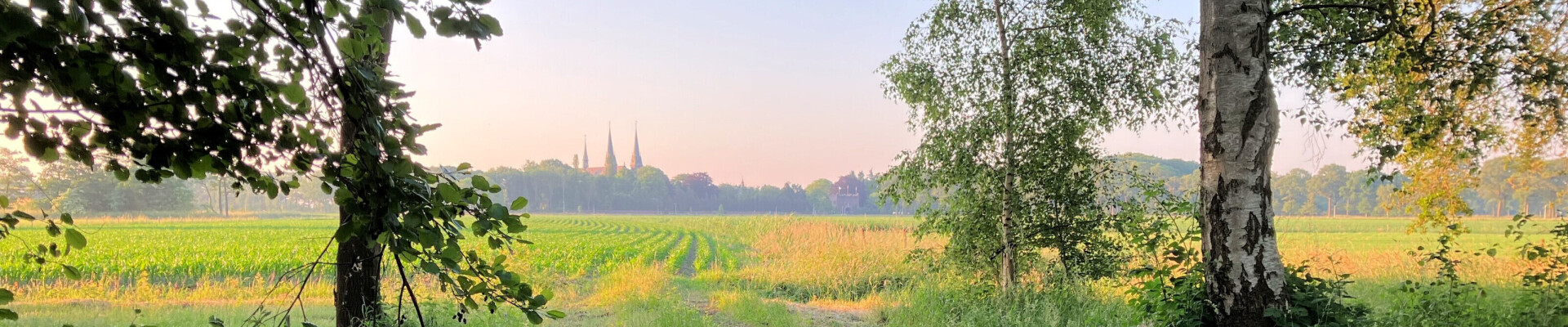 Preek van 14 juli 2024