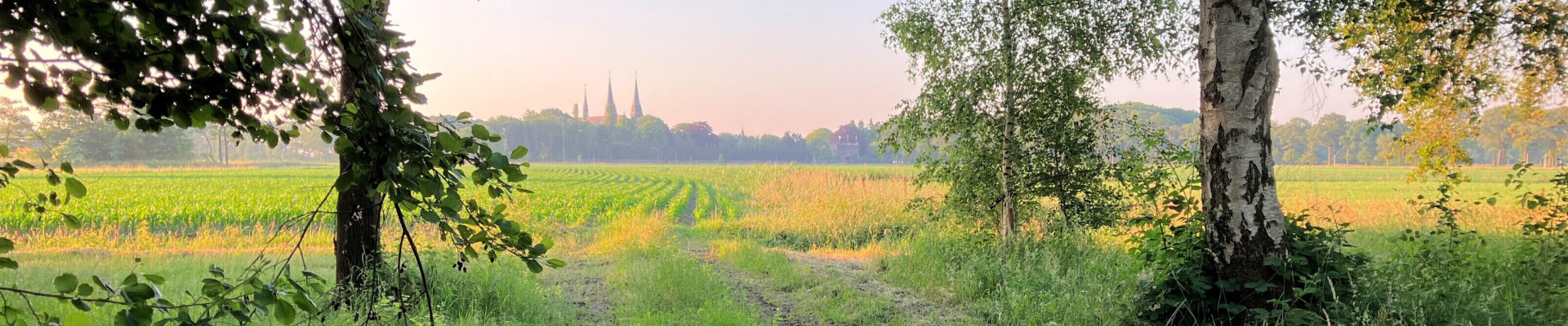 Preek van 21 juli 2024