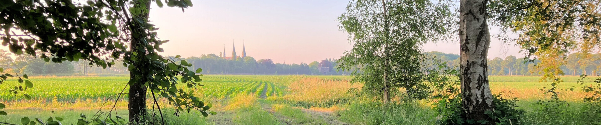 Preek van 28 juli 2024