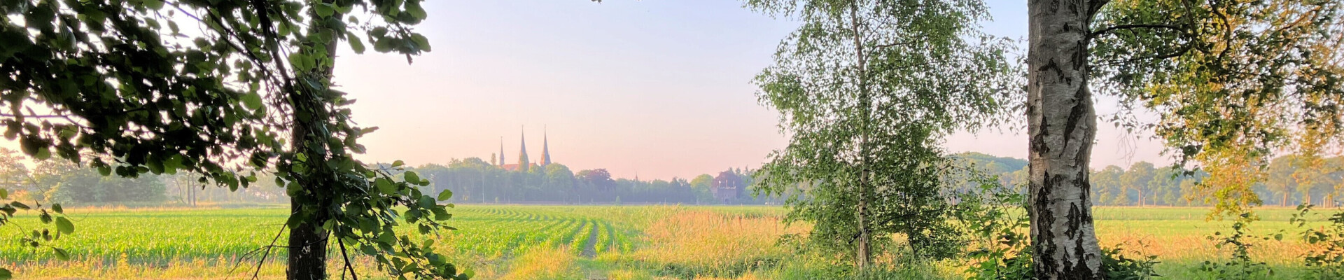 Preek van 18 augustus 2024