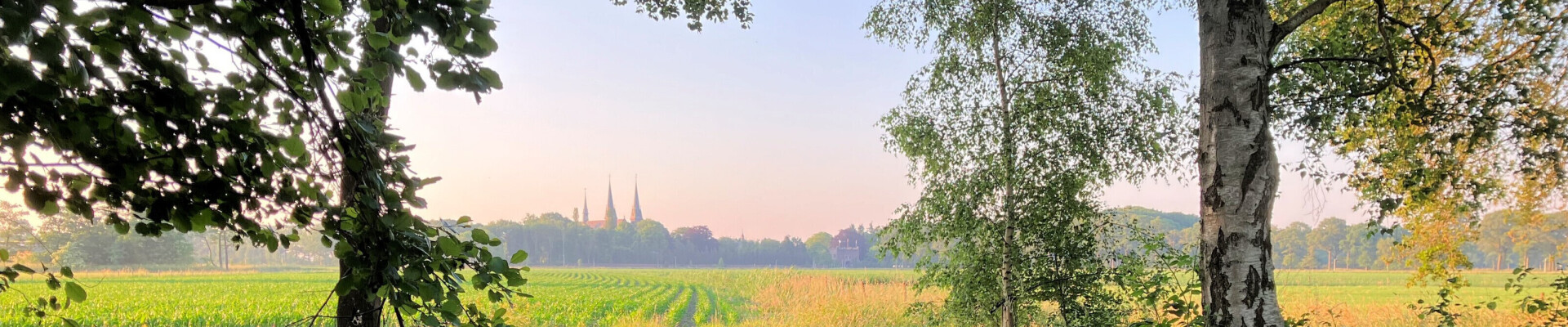 Preek van 25 augustus 2024