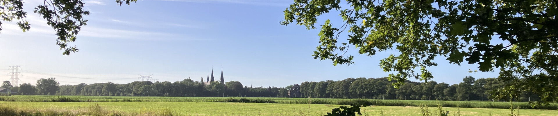 Preek van 20 oktober 2024